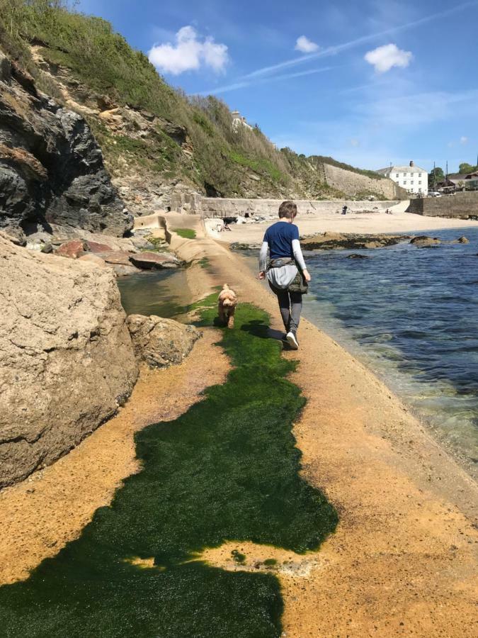 Starfish Cottage- Private Beach Access- Dog Friendly Charlestown  Exterior foto